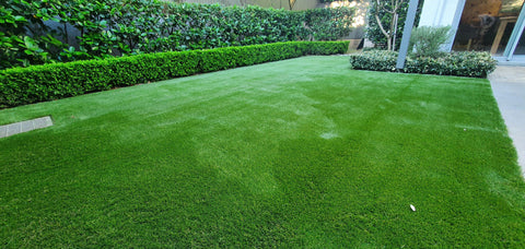 Prestige 50mm-King Turf