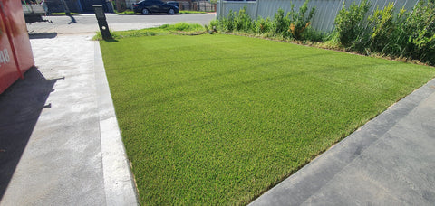 King Turf Prince 35mm Artificial Grass Installation Project