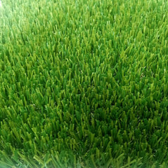 King Turf Royal 35mm Grass Close Up Photo